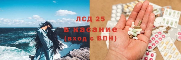 прущие грибы Балабаново