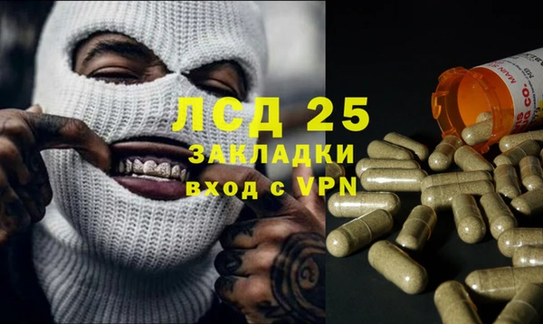 прущие грибы Балабаново