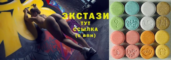 2c-b Снежногорск
