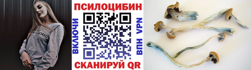 ОМГ ОМГ зеркало  Будённовск  Псилоцибиновые грибы прущие грибы  купить  цена 